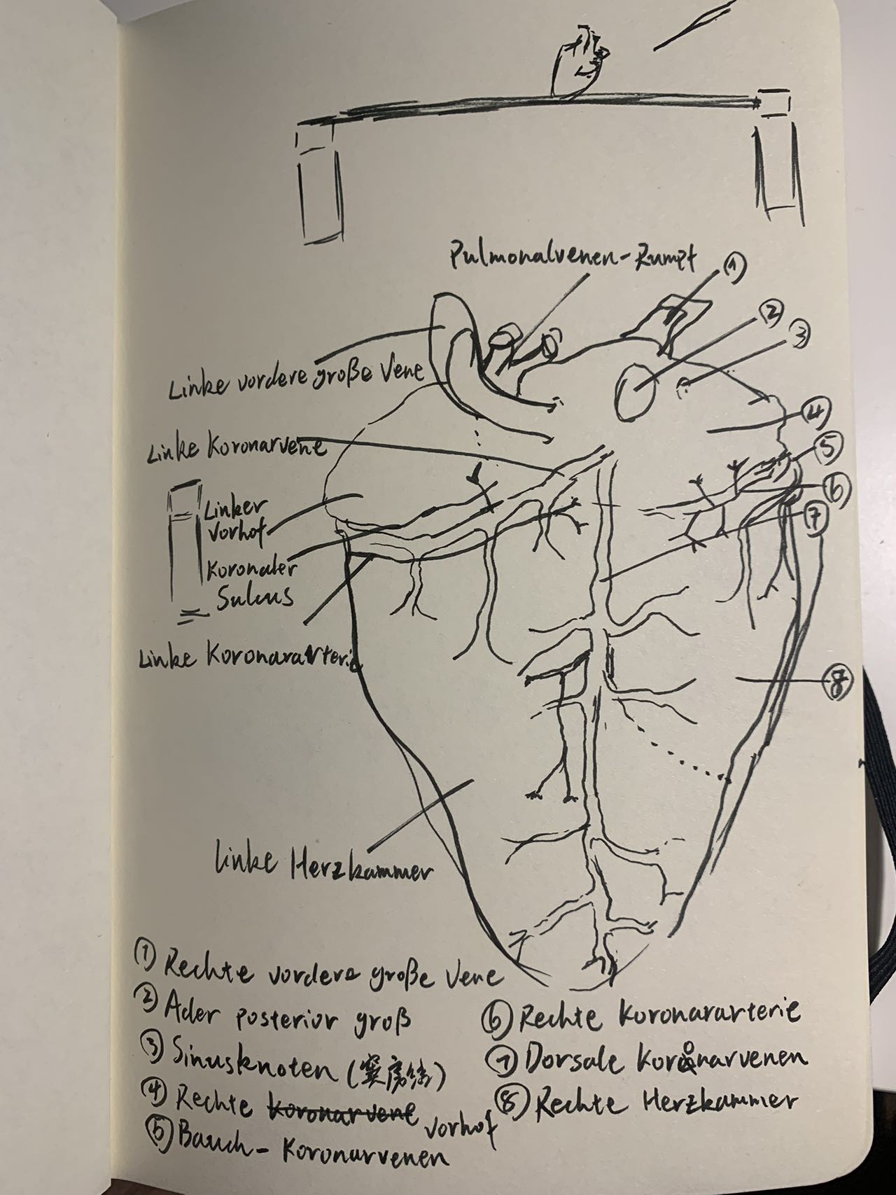 Skizzen und Ideen